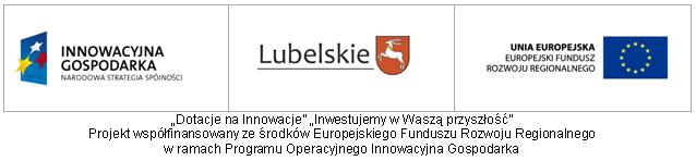 Przeciwdziałanie wykluczeniu cyfrowemu w województwie lubelskim