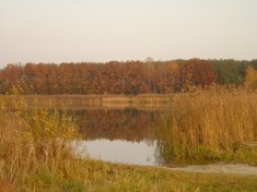 Jezioro Masluchowskie