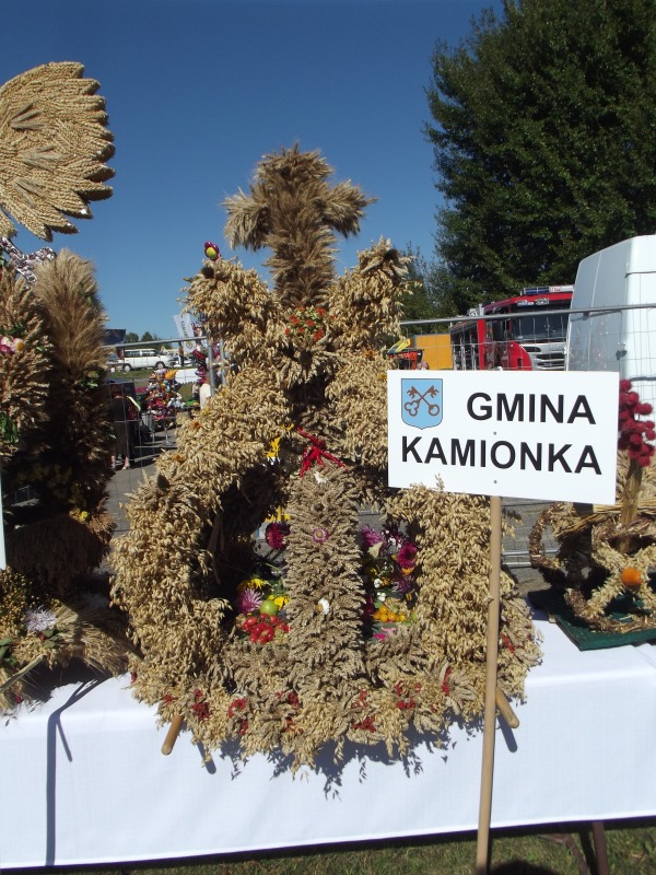 
                                                       Dożynki Powiatowe - Abramów 2013 - fotogaleria
                                                