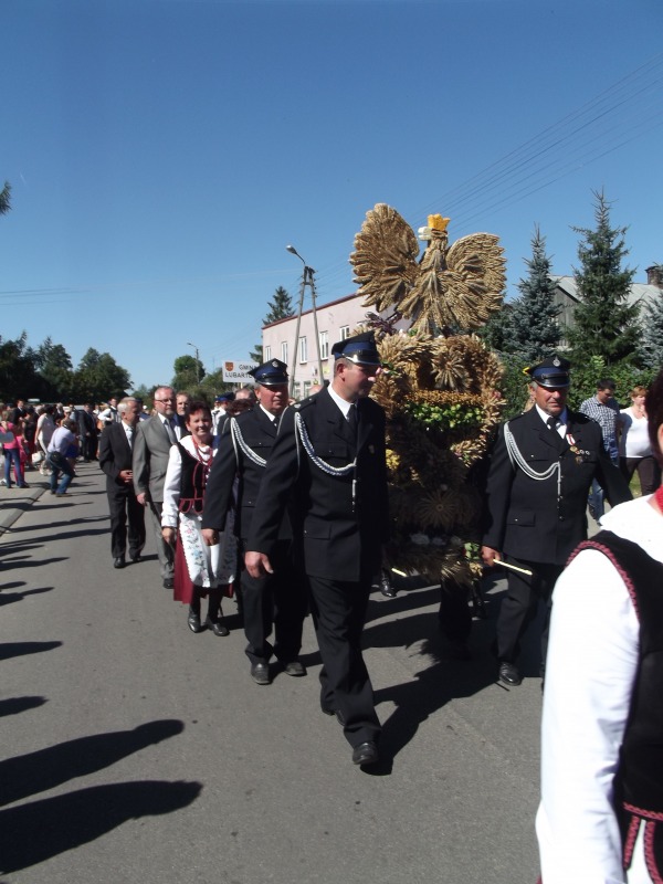 
                                                       Dożynki Powiatowe - Abramów 2013 - fotogaleria
                                                
