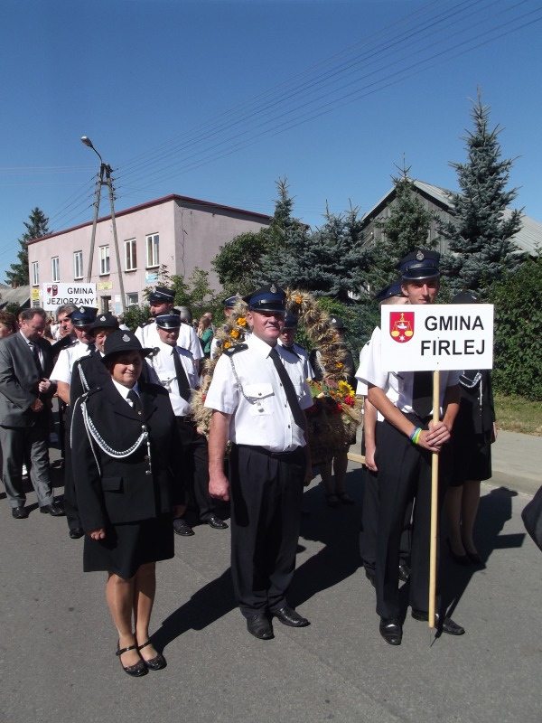 
                                                       Dożynki Powiatowe - Abramów 2013 - fotogaleria
                                                