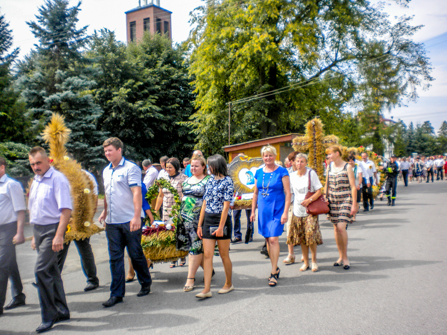 
                                                       II LUBELSKIE ŚWIĘTO ZIÓŁ
                                                