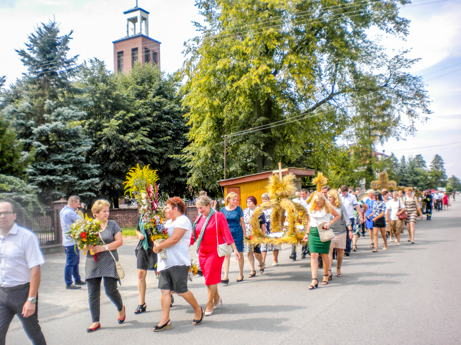 
                                                       II LUBELSKIE ŚWIĘTO ZIÓŁ
                                                