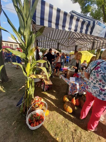
                                                       Dożynki Powiatu Lubartowskiego 
                                                