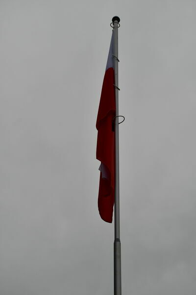 
                                                    Narodowe Święto Niepodległości
                                                