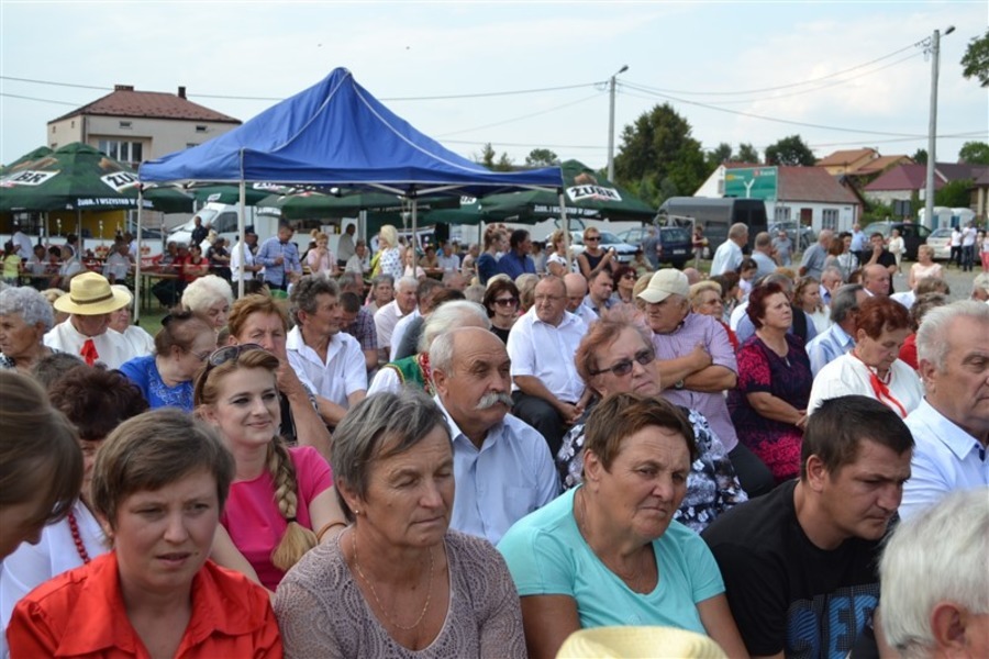 
                                                       DOŻYNKI 2015
                                                