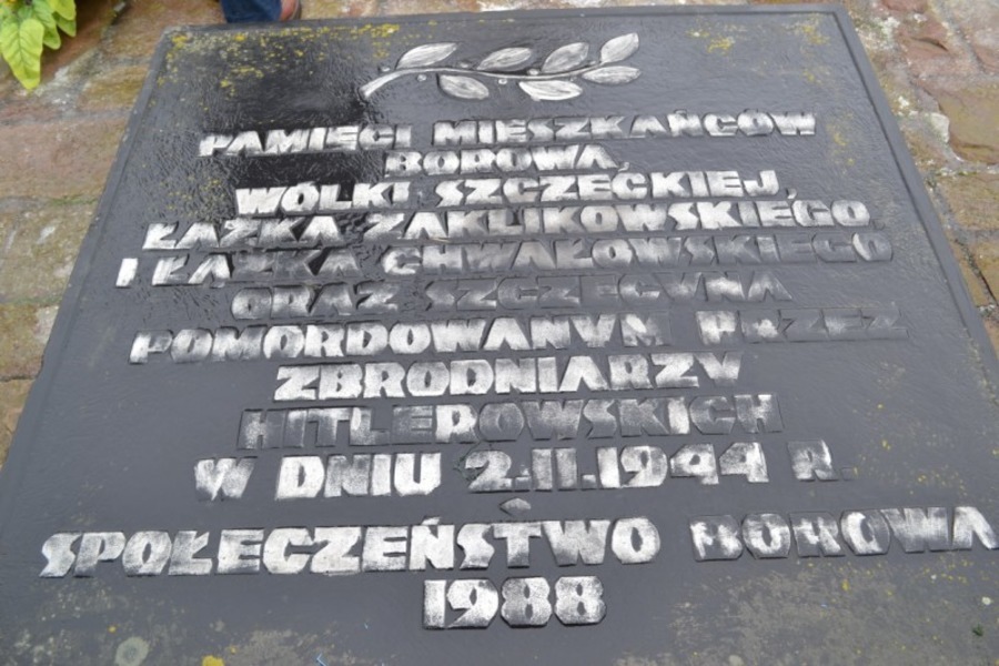 
                                                       69 Rocznica Pacyfikacji Borówa
                                                