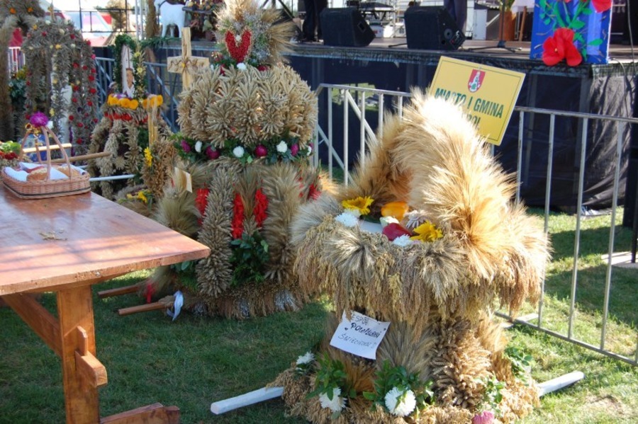 
                                                       Dożynki powiatowe - Wilkołaz 2011
                                                