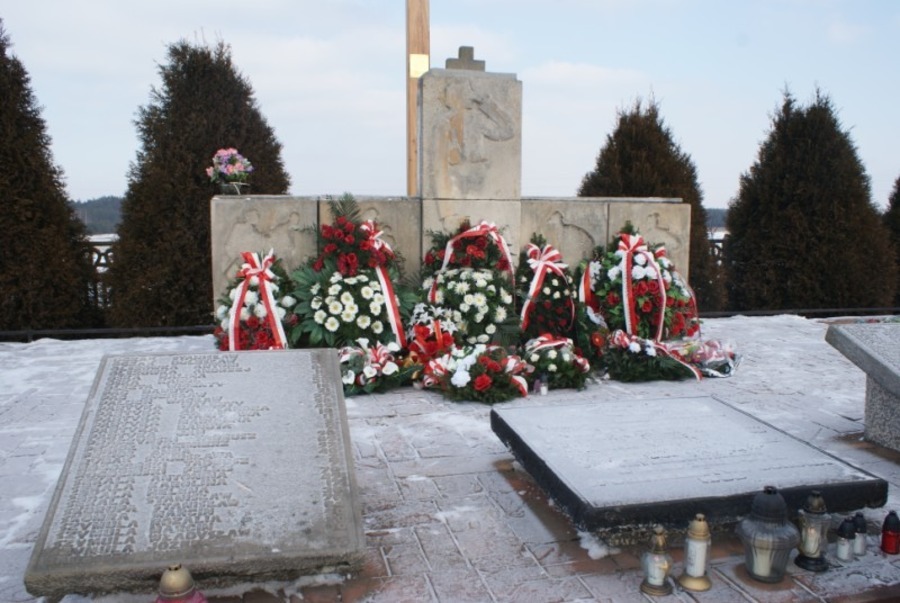 
                                                        68 Rocznica Pacyfikacji Borowa i okolic 
                                                