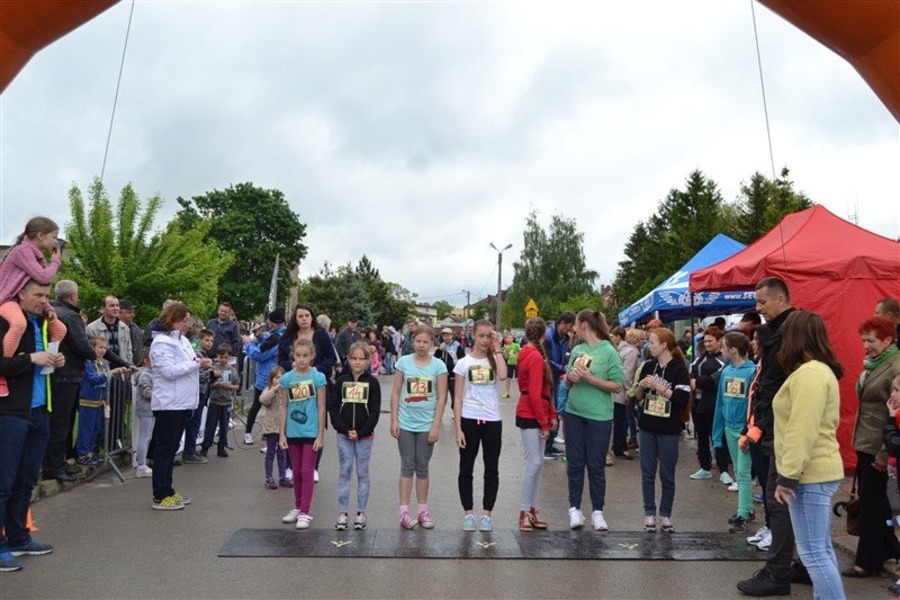 
                                                       Festiwal biegowy
                                                