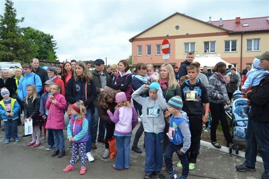 
                                                       Festiwal biegowy
                                                