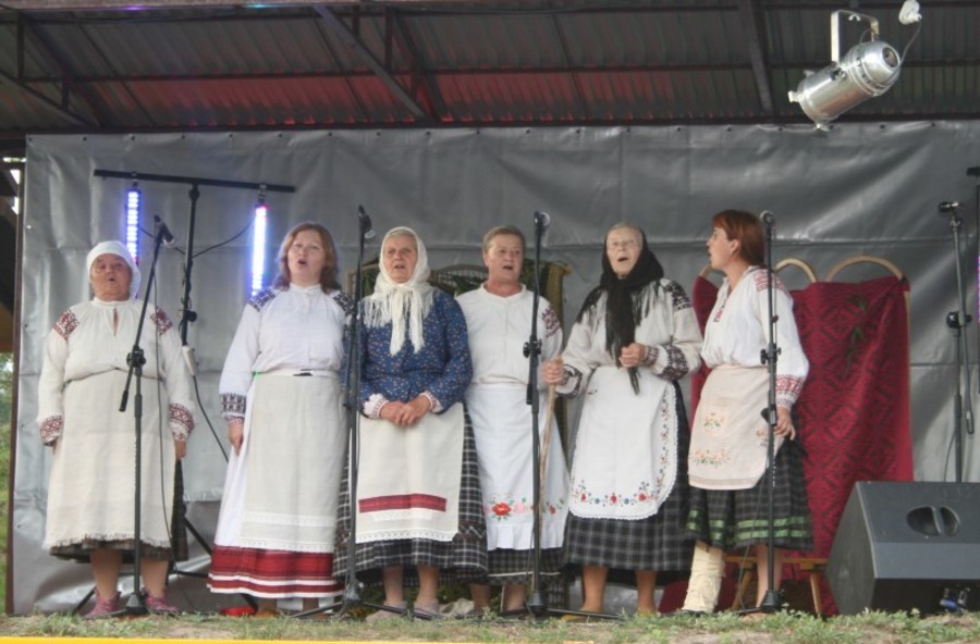 
                                                       VI Dzień Miejscowości Bliskowice
                                                