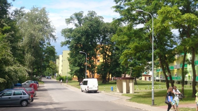 
                                                       Budowa oświetlenia drogowego w ul. Ścibiora.
                                                