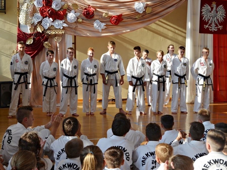 
                                                       Podsumowanie sezonu Dęblińskiej Szkoły Taekwon-do 2016
                                                