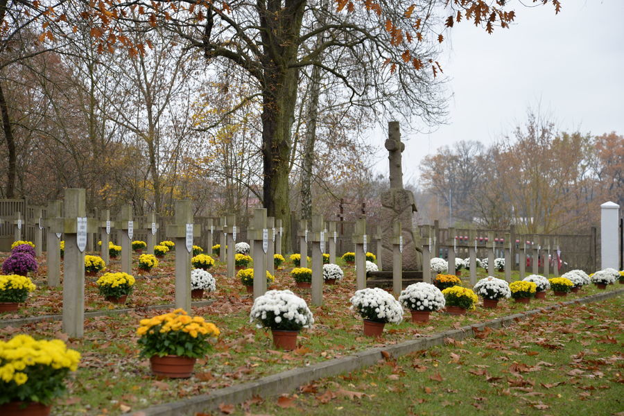 
                                                    Cmentarz Wojenny przy ul. Balonnej po udekorowaniu chryzantemami.
                                                