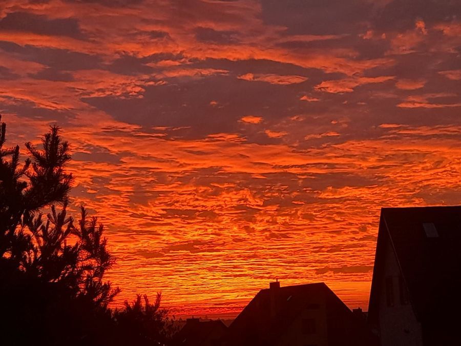 
                                                    „Jesień w Gminie Dziemiany”
                                                