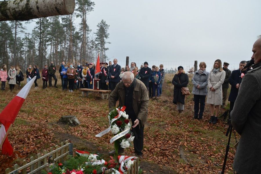 
                                                    Obchody Narodowego Święta Niepodległości 
                                                