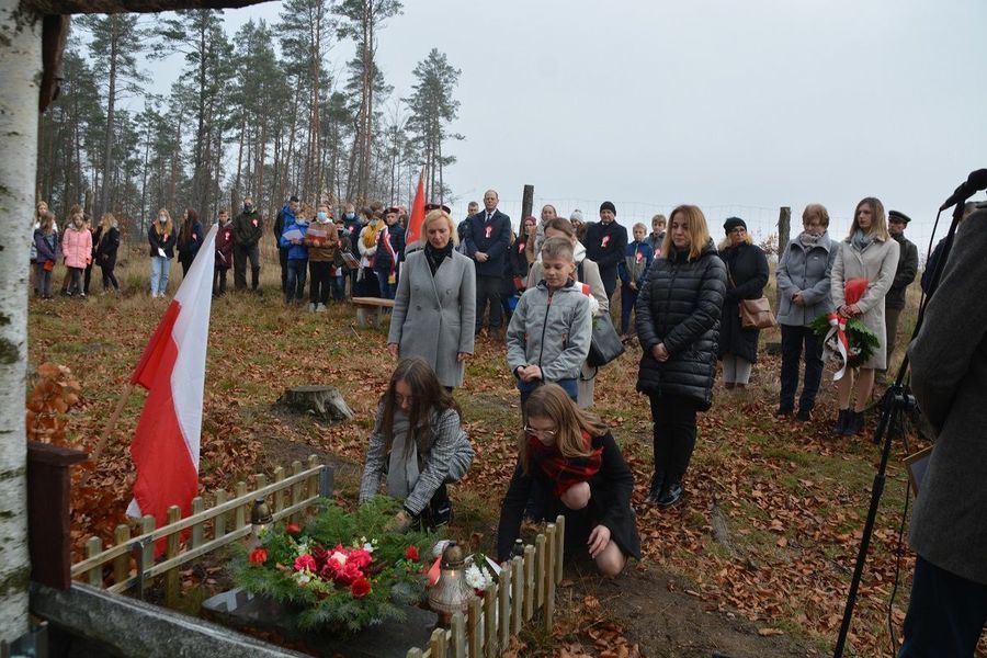 
                                                    Obchody Narodowego Święta Niepodległości 
                                                