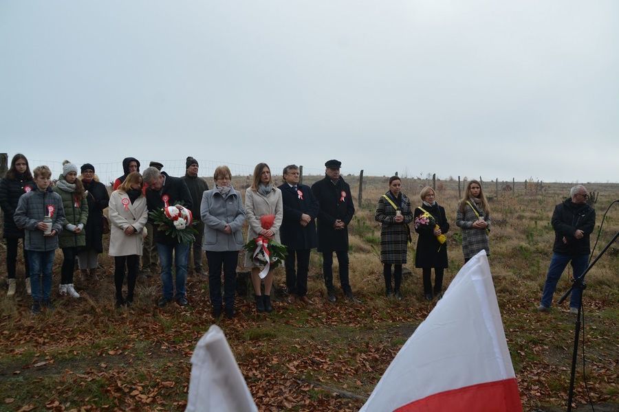 
                                                    Obchody Narodowego Święta Niepodległości 
                                                