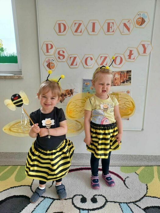
                                                    Światowy Dzień Pszczoły
                                                