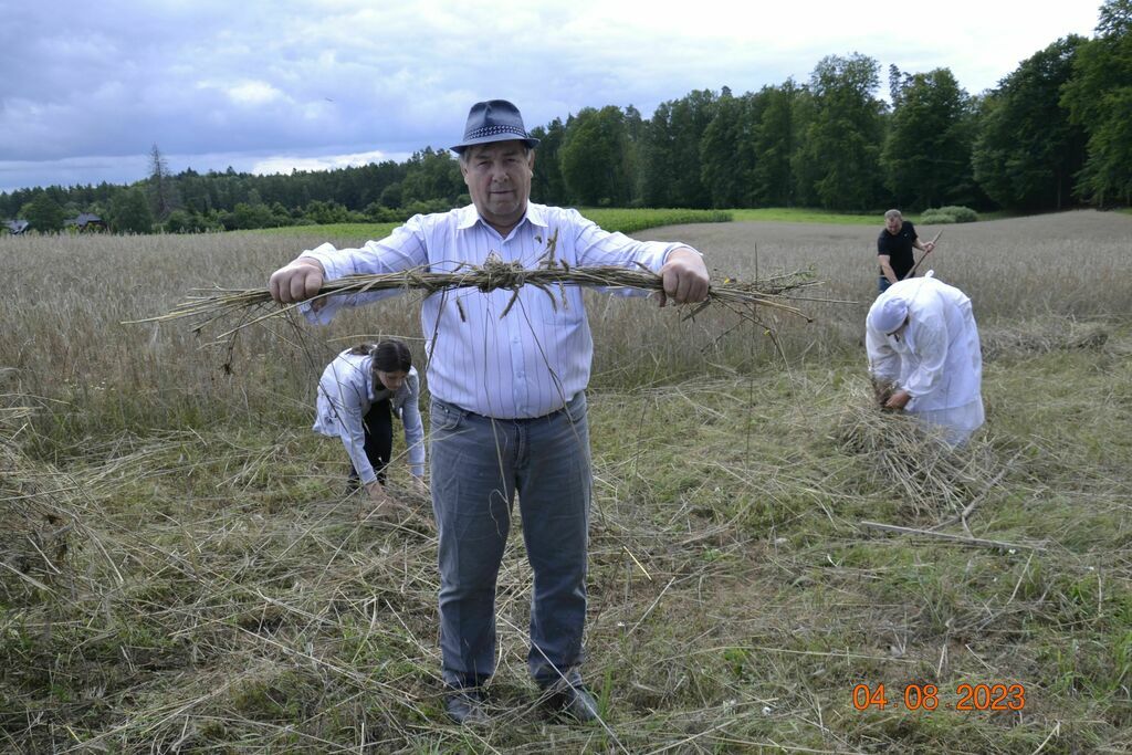Pokaz Koszenia Zboża Metodą Tradycyjną