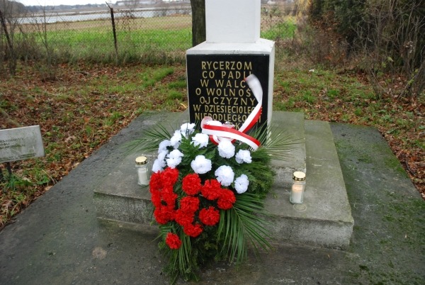 
                                                    S.M.Stępniak
                                                