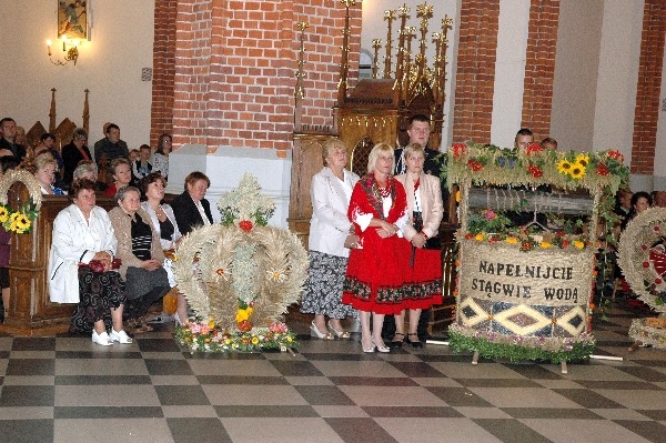 
                                                    H. i S.Stępniakowie
                                                