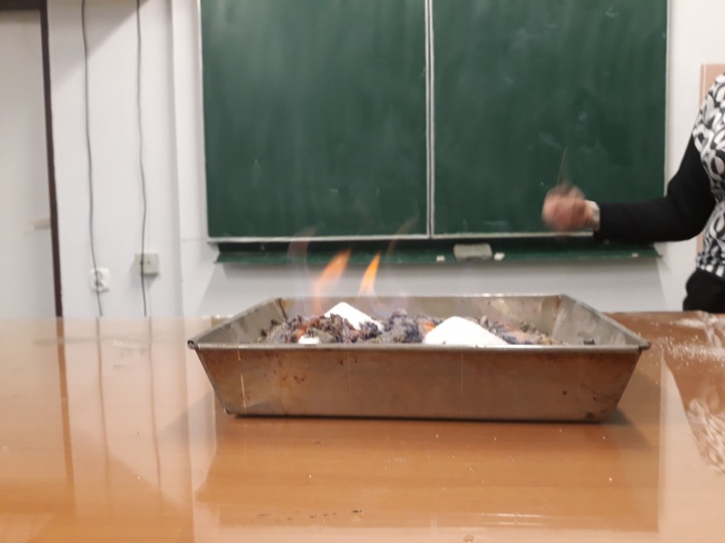 
                                                       Projekt Zagrajmy o przyszłość
                                                