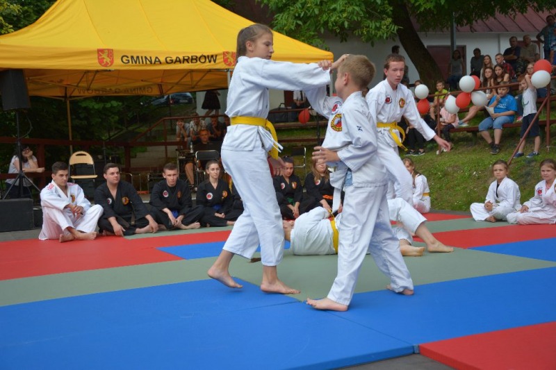 
                                                       XI Festyn Rodzinny
                                                