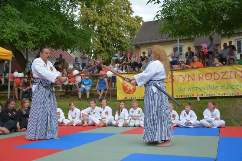 
                                                       XI Festyn Rodzinny
                                                