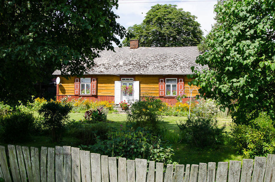 Osówka