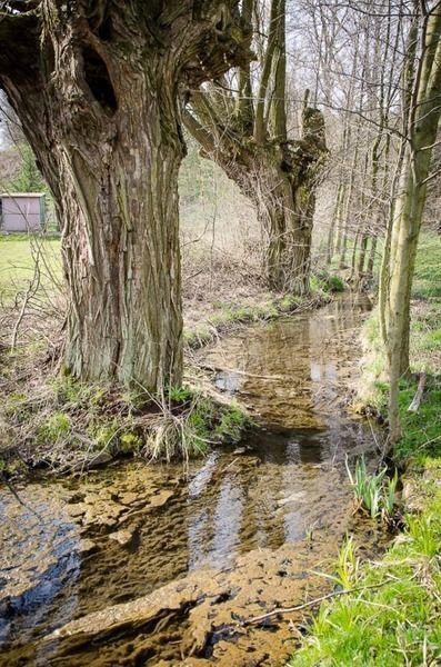 Łagiewniki