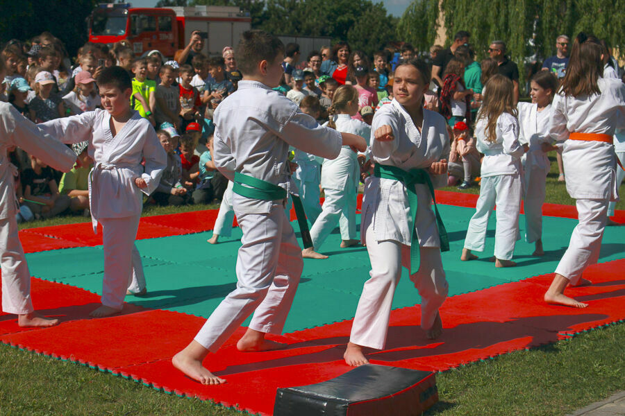 Na zdjęciu pokazy karate