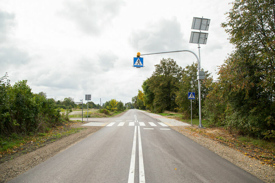 droga asfaltowa z przejściem dla pieszych