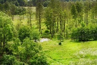 Walory przyrodnicze