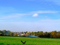 Walory przyrodnicze