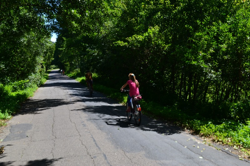 
                                                       Rowerowe lato na ziemi lubartowskiej 2013
                                                