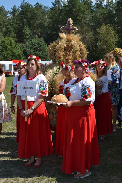 
                                                       Dożynki 2019 - 1
                                                
