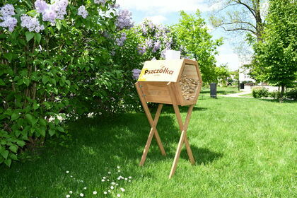 Akcja "Ratujmy Pszczoły"