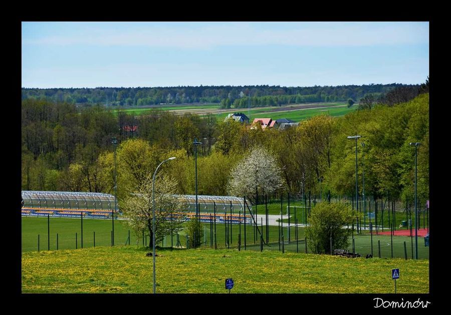 
                                                    Krajobraz Dominów
                                                