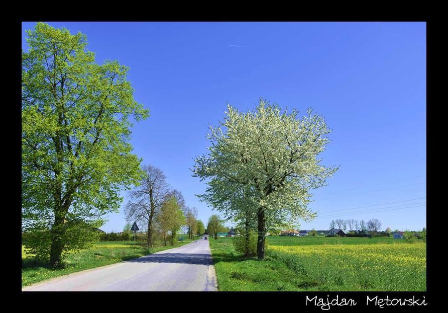 
                                                    Krajobraz Majdan Mętowski
                                                