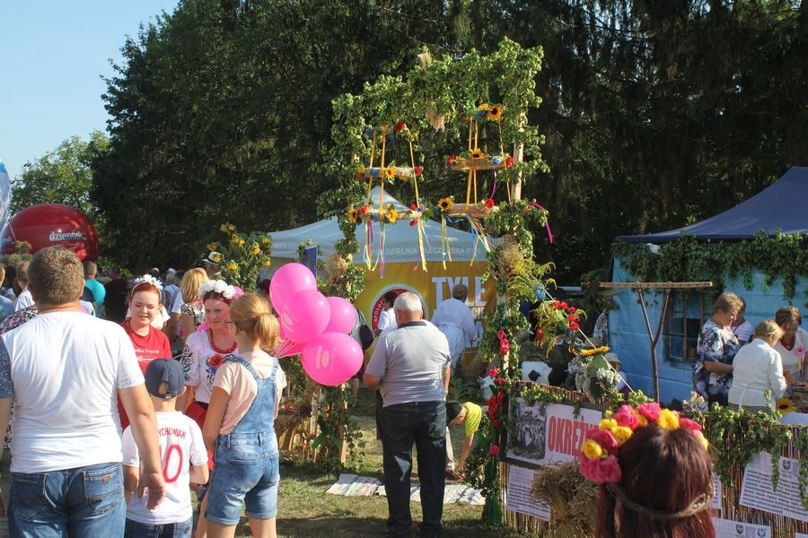 
                                                       Dożynki Powiatowe w Kurowie 
                                                