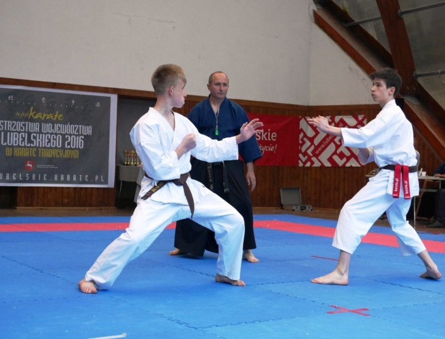 
                                                       Sukcesy karateków z Gminy Niemce
                                                