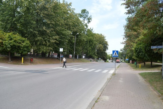 
                                                    Osoba na przejściu dla pieszych
                                                