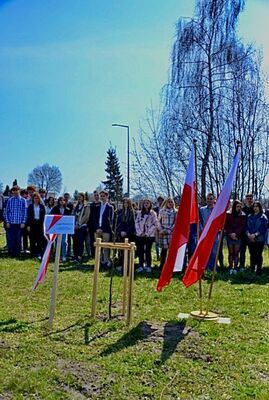 
                                                    Uczestnicy Apelu
                                                