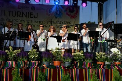 Letni Festiwal Folkloru. Występ na scenie