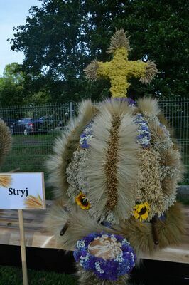 
                                                    wieniec dożynkowy
                                                