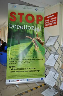 
                                                    Zdjęcie rollupu
                                                