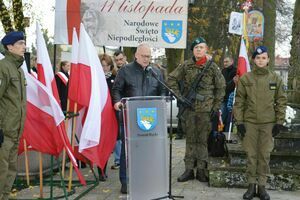 
                                                    POWIATOWE OBCHODY NARODOWEGO ŚWIĘTA NIEPODLEGŁOŚCI W RYKACH
                                                