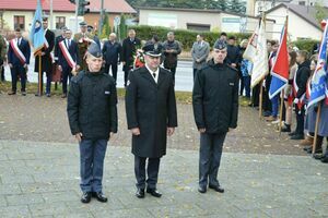 
                                                    POWIATOWE OBCHODY NARODOWEGO ŚWIĘTA NIEPODLEGŁOŚCI W RYKACH
                                                